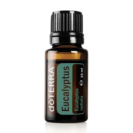 Essential Oils - Eucalyptus - 15ml